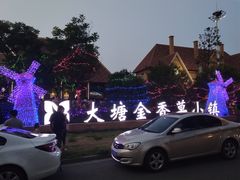 -大塘金香草谷