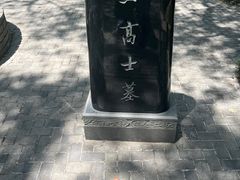 -上海佘山国家森林公园天马山园