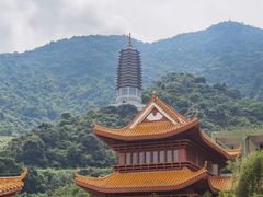 -深圳仙湖植物园