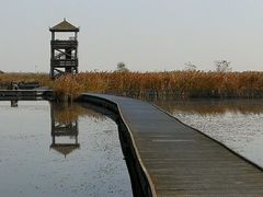 -盐城丹顶鹤湿地生态旅游区