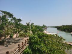 -东寨港红树林旅游区