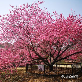 大家都自备零食来野餐 不过很多地方都围起来