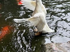 -顺德渔村·岭南一号