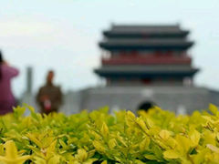 android_upload_pic-永定门公园