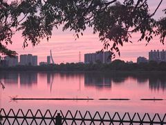 -金银湖国家城市湿地公园