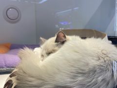 -龟与熊猫宠物公园(南坪店)