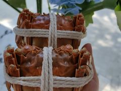 -丫丫蟹庄·苏式园林农家乐·阳澄湖大闸蟹(阳澄湖莲花岛店)