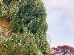 -府河摄影公园