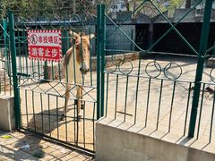 -保定市动物园