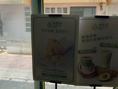 -油梨树AVOCADO TREE(顺义新国展店)