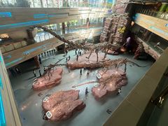 -安徽省地质博物馆