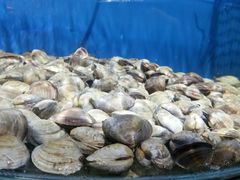 -蓝珊甄选海鲜自助·火锅大排档(近阿那亚店)