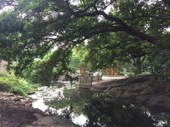 -晓港公园