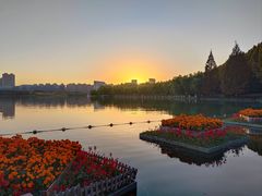 -天鹅湖体育公园