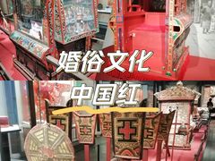 -四川大学博物馆