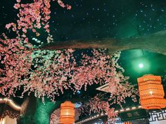 -荷塘秋月·本帮江浙菜(国权路店)