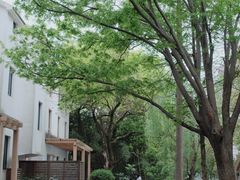 -苏州东太湖生态园