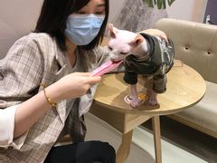 -藏猫猫咖啡主题馆(中央大道店)