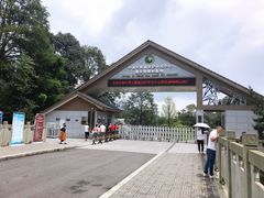 -中国大熊猫保护研究中心雅安碧峰峡基地