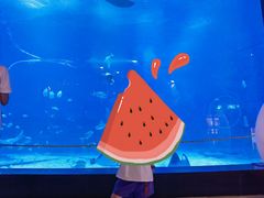 -烟台海昌鲸鲨海洋公园