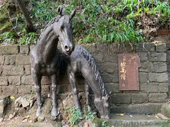 -南山植物园