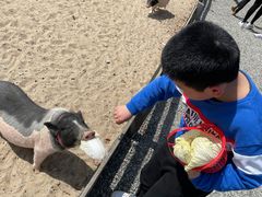 -前小桔亲子创意农场·草莓采摘·露营烧烤