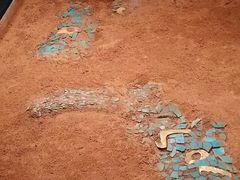 -盘龙城国家考古遗址公园