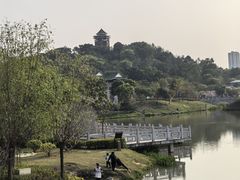 -王借岗森林公园