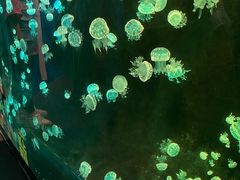 -欢乐海岸海洋奇梦馆