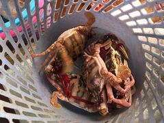 -八方海味餐厅