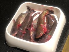 黄骨鱼-川西坝子火锅(清江东路3.0直营店)