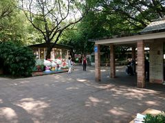 -晓港公园