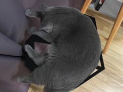 -壹人壹像工作室(购物公园店)