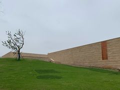 -盘龙城国家考古遗址公园