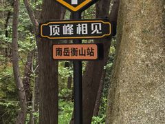 -南岳衡山风景名胜区