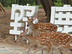 -南戴河国际娱乐中心