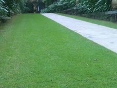 -三亚湾红树林度假世界(木棉酒店)