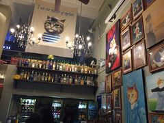 -猫咪博物馆(顶澳仔猫街店)