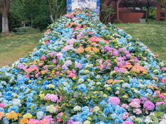 -武汉园博园(武汉自然博物馆)