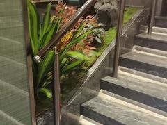 -凯鸽酒楼(操场城店)