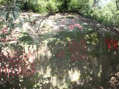 -白鹿洞书院