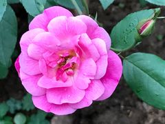 -人民公园(罗湖区)