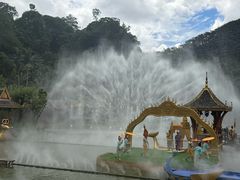 -西双版纳原始森林公园