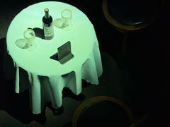 -武汉知音号