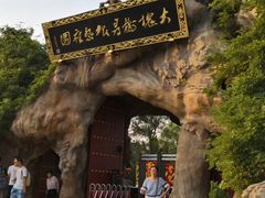 -大槐树寻根祭祖园