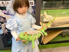 -FAIRYLAND龙族星球主题餐厅(凯丹广场店)