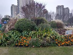 -新江湾城公园