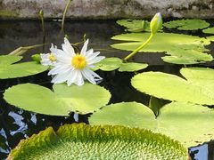 -国家植物园南园