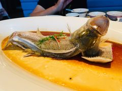 -凤凰湘语·湘粤鲜融(浦东旗舰店)