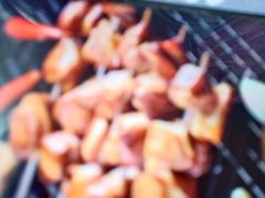 -鼎原力量东北吊炉烧烤(临河街店)